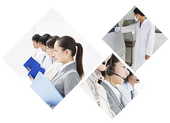 白菜游戏app